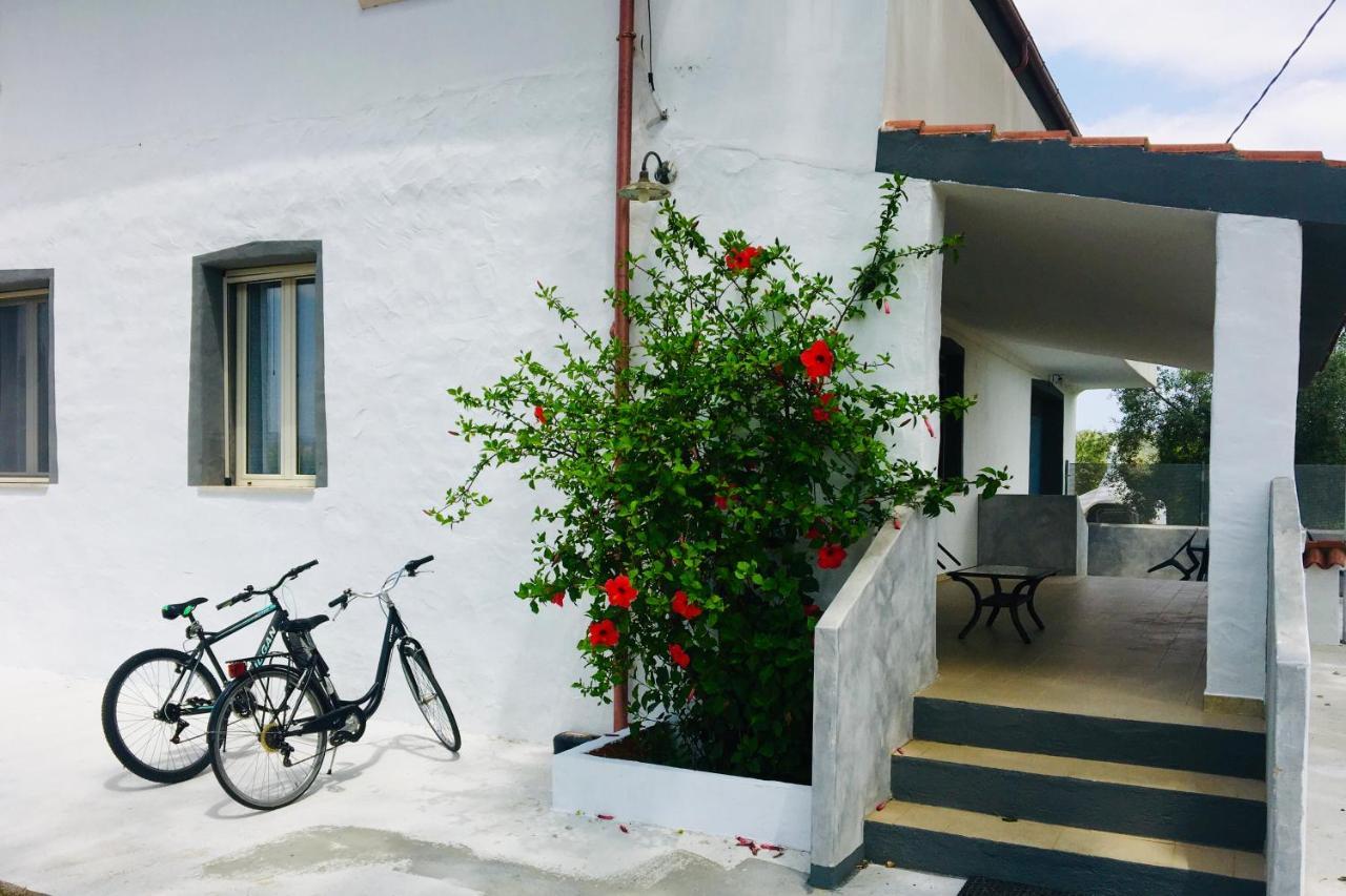 Villa Cedrino Orosei Esterno foto